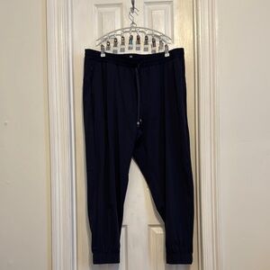 Fabletics Navy Jogger Pants